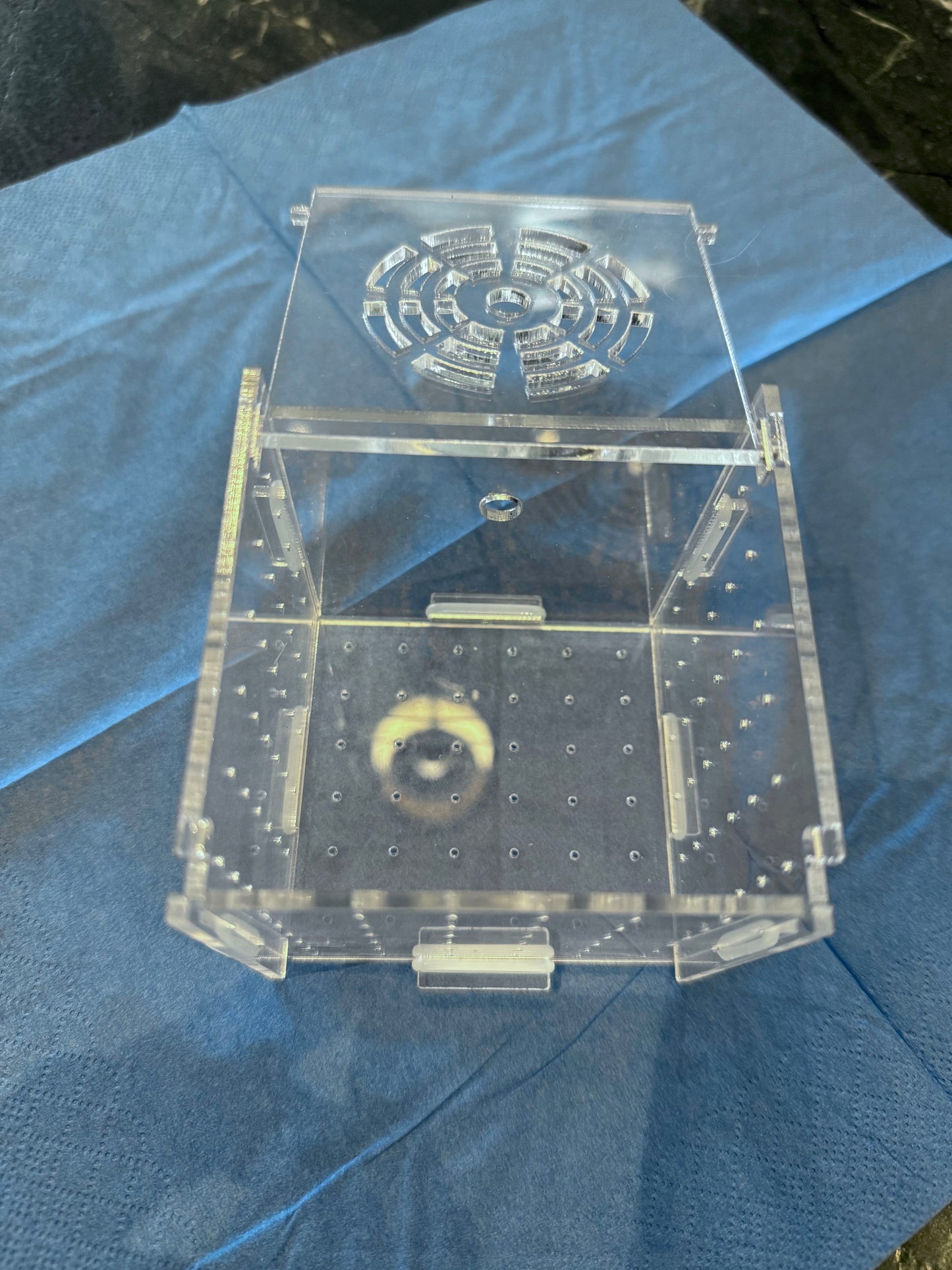 Acrylic Mushroom/ Leather acclimation box with suction cup